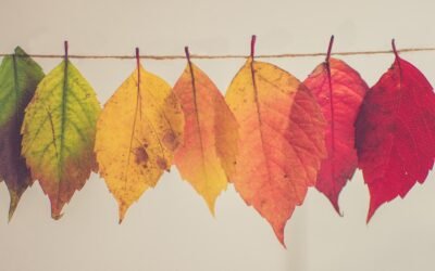 What is Somatic Therapy?